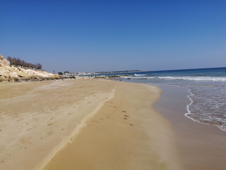 靠近海滩、白沙、间海滩酒吧