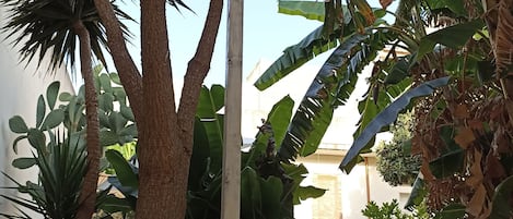 A covered outdoor seating area with chairs and tables, surrounded by various tropical plants.