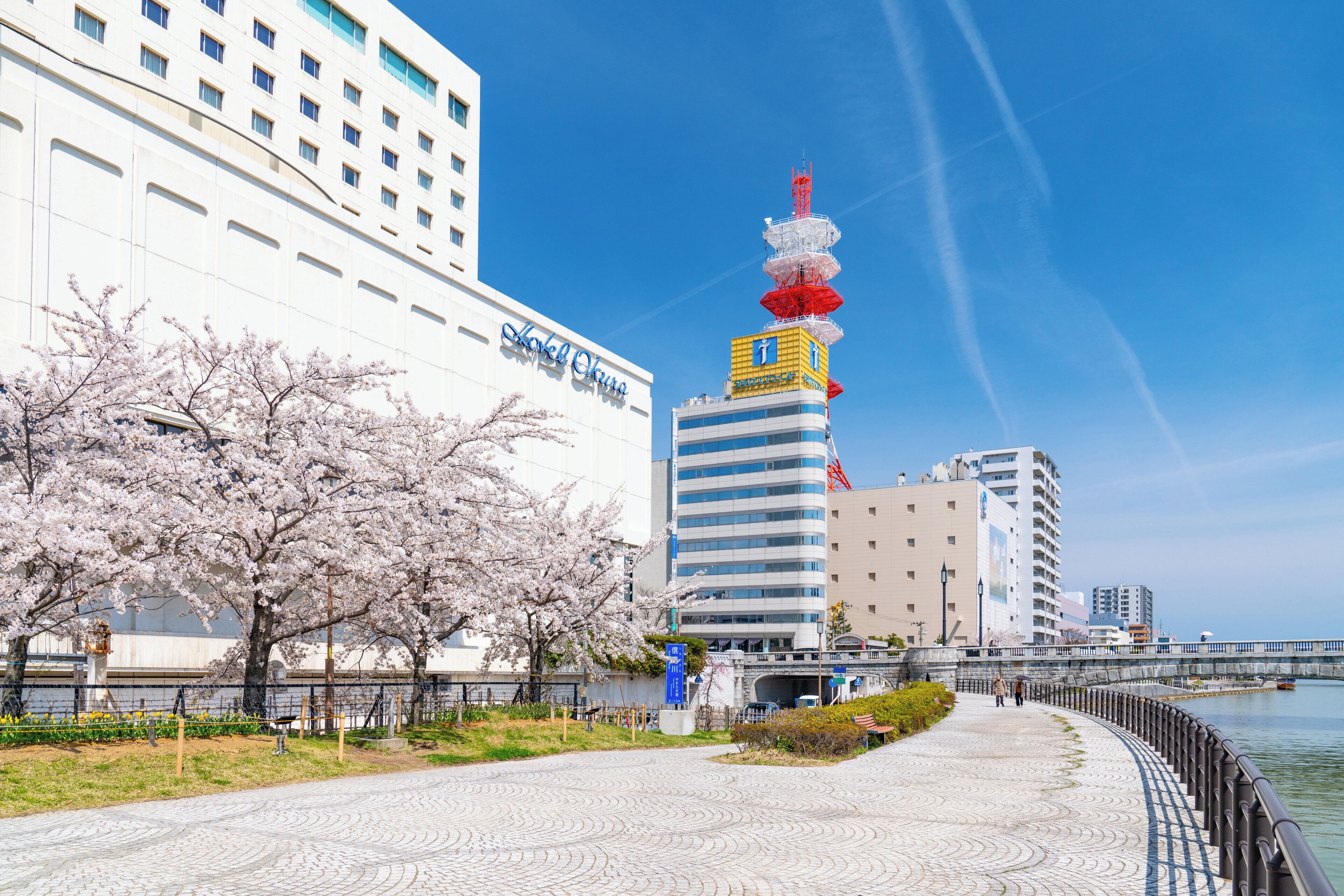 Un hôtel au design moderne, situé près d’une promenade en bord de mer, agrémentée d’un sentier piétonnier et de cerisiers en fleurs.