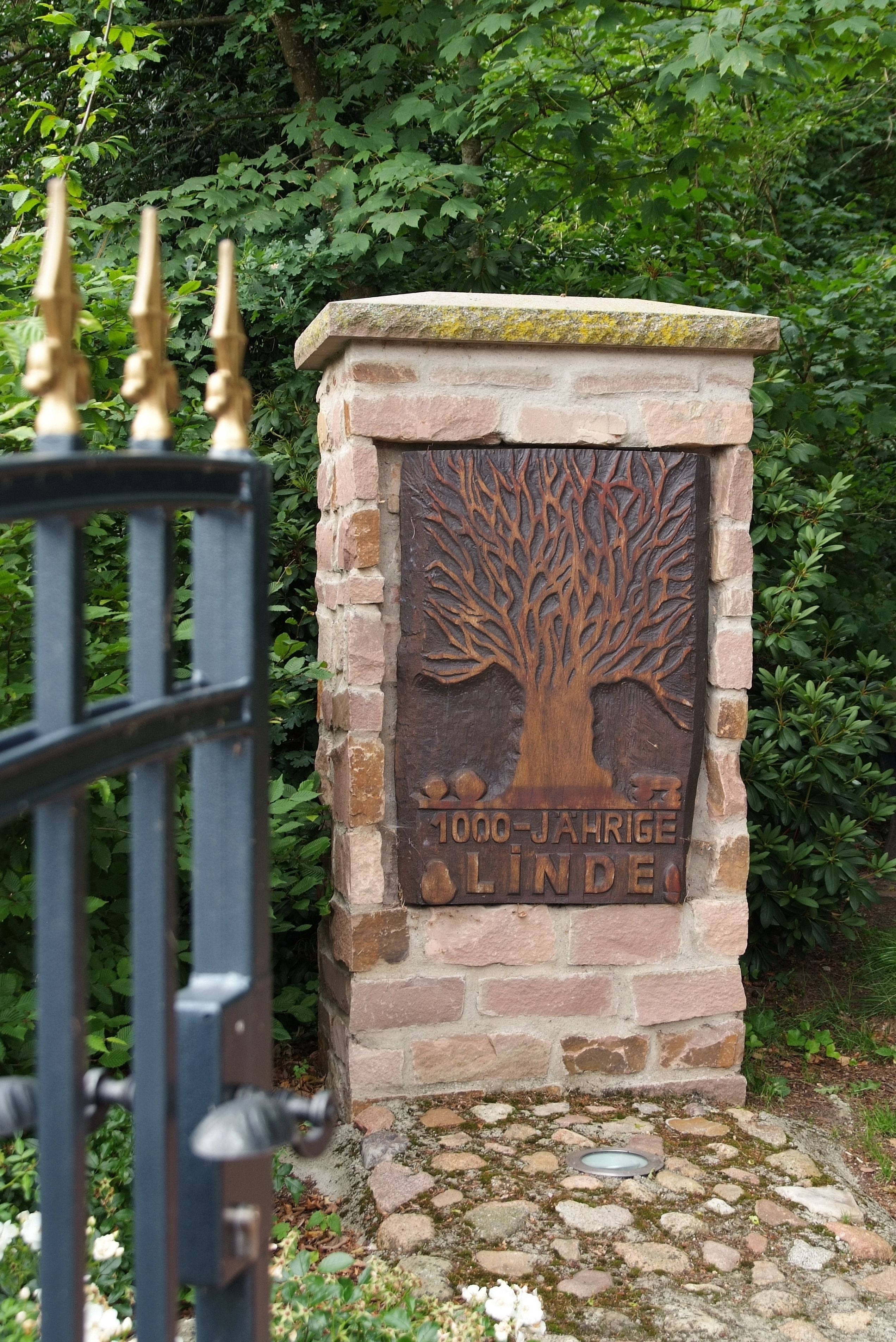 A stone plaque with a tree carving and the inscription "1000-JAHRIGE LINDE" in front of a metal gate.