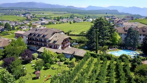 Un quartier résidentiel avec des maisons, une piscine et un grand arbre.