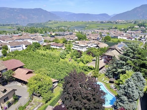 Taman