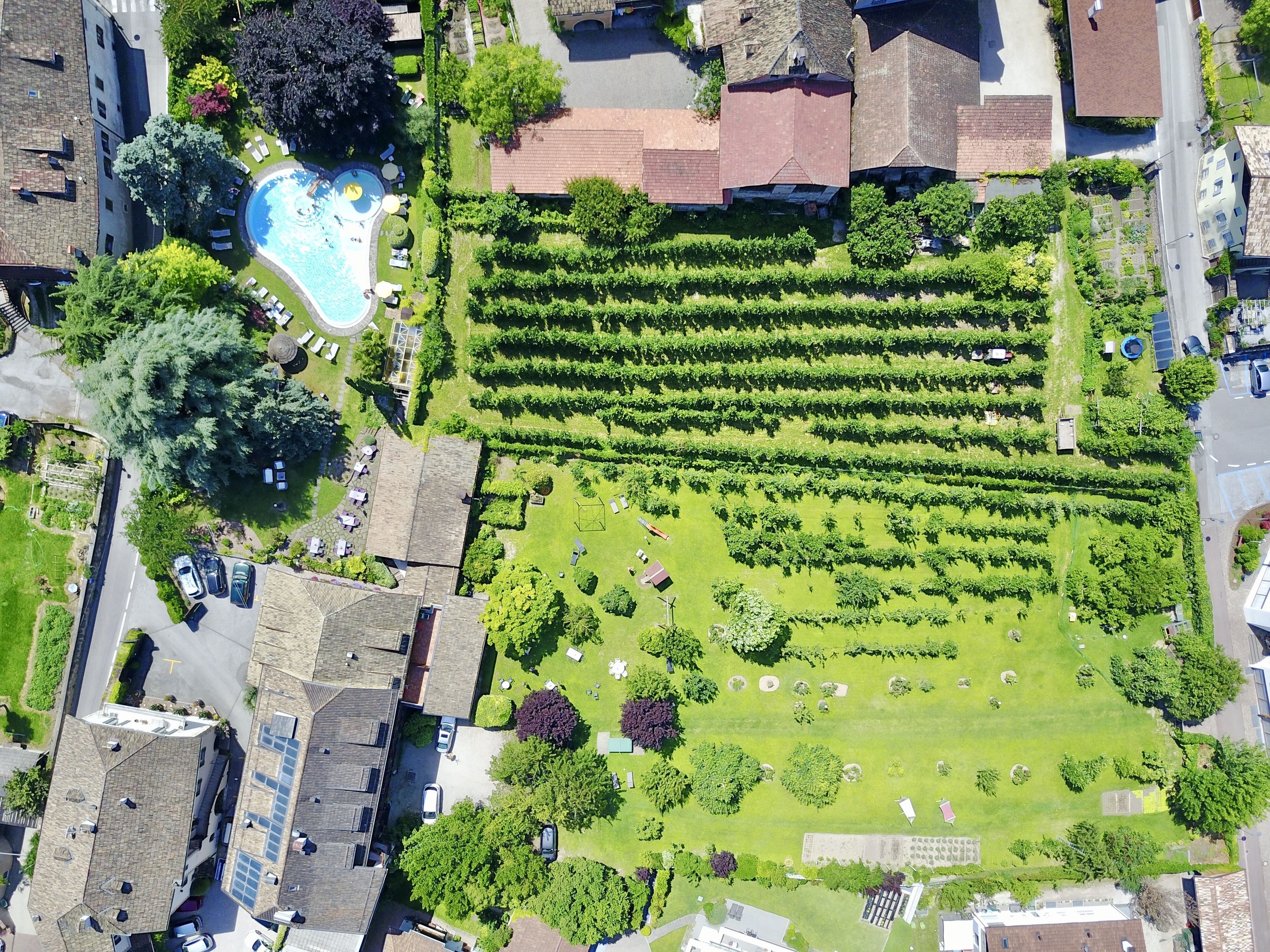 An aerial view of a residential area with a swimming pool, neatly arranged garden beds, and a parking area.