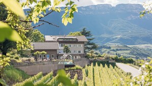 A two-story building with a sloped roof, surrounded by a vineyard, and a mountain backdrop.