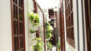 A narrow alleyway with buildings on either side, some with wooden doors and windows, and others with metal bars. There are potted plants hanging on the walls of the buildings. - Green Grass Homestay (Hoi An)