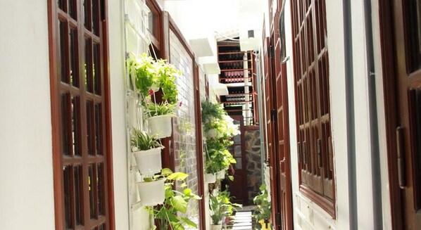 A narrow alleyway with buildings on either side, some with wooden doors and windows, and others with metal bars. There are potted plants hanging on the walls of the buildings.