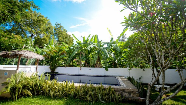 Un jardin avec une piscine, une végétation luxuriante et une structure dotée d’un toit de chaume.