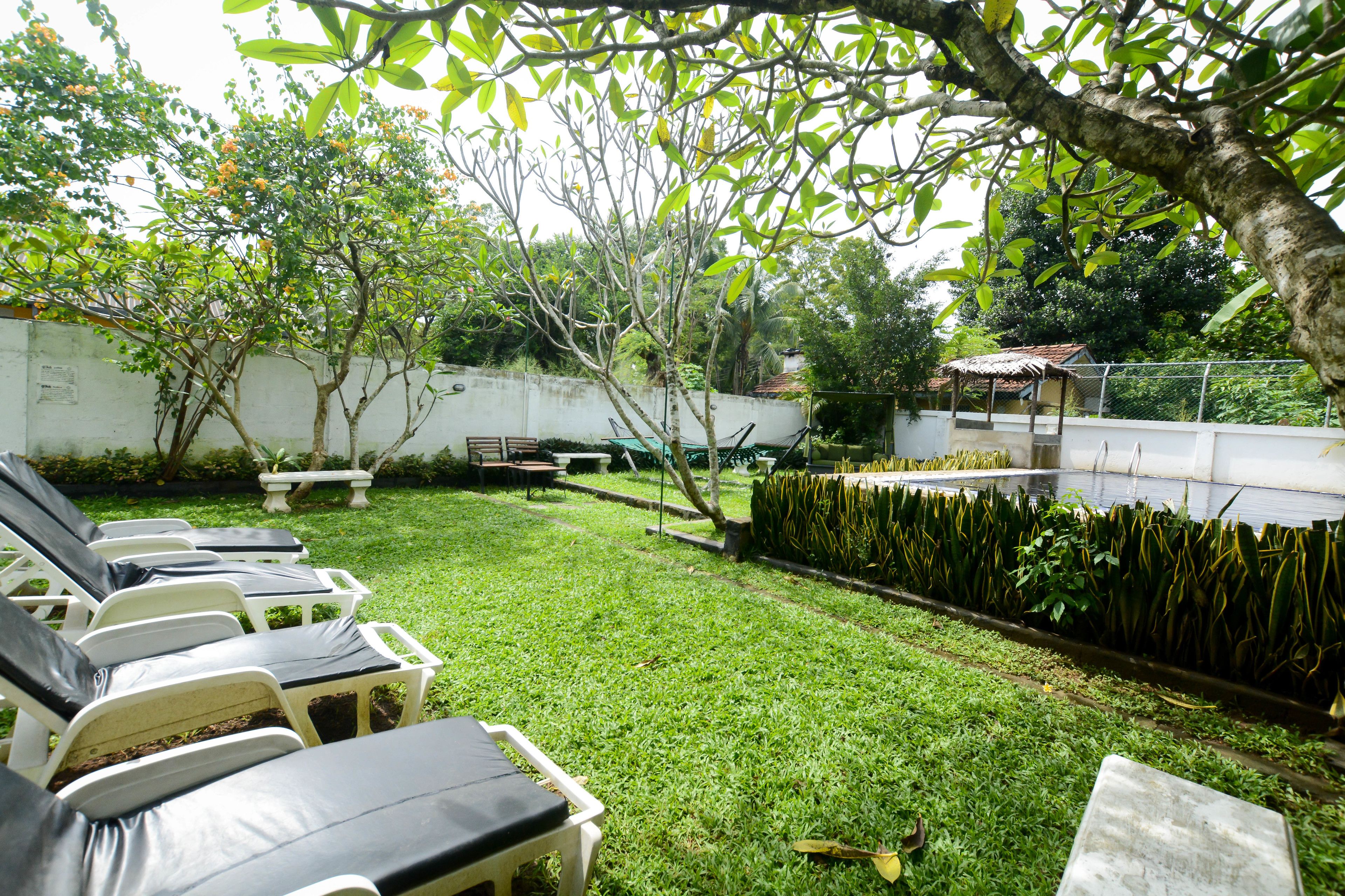 Un jardin avec une pelouse, une piscine et des chaises longues.