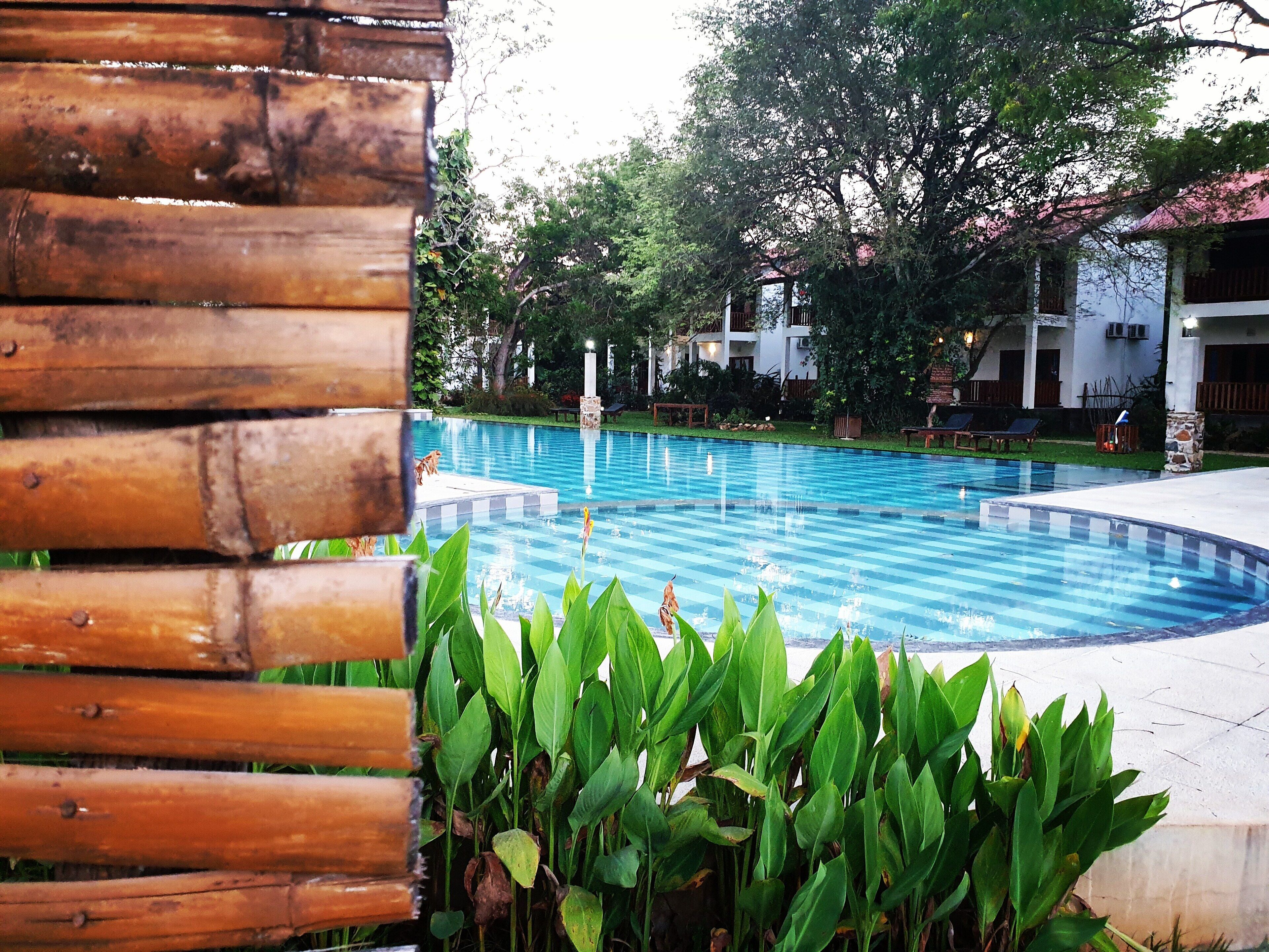outdoor pool, open 7:30 am to 8:30 pm, pool loungers
