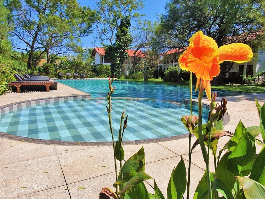 Outdoor pool, open 7:30 AM to 8:30 PM, pool loungers