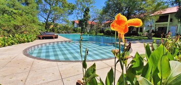 Piscina externa, funciona das 7h30 às 20h30, espreguiçadeiras