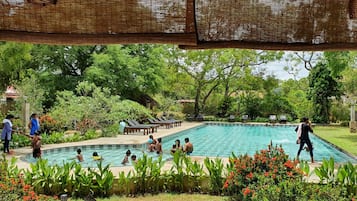 Outdoor pool, pool loungers