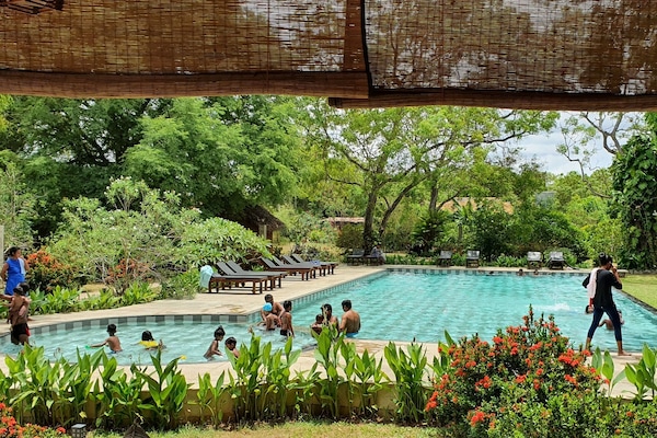 Outdoor pool, open 7:30 AM to 8:30 PM, sun loungers