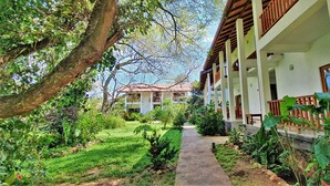 Un sendero que lleva a un edificio con jardín y un gran árbol.