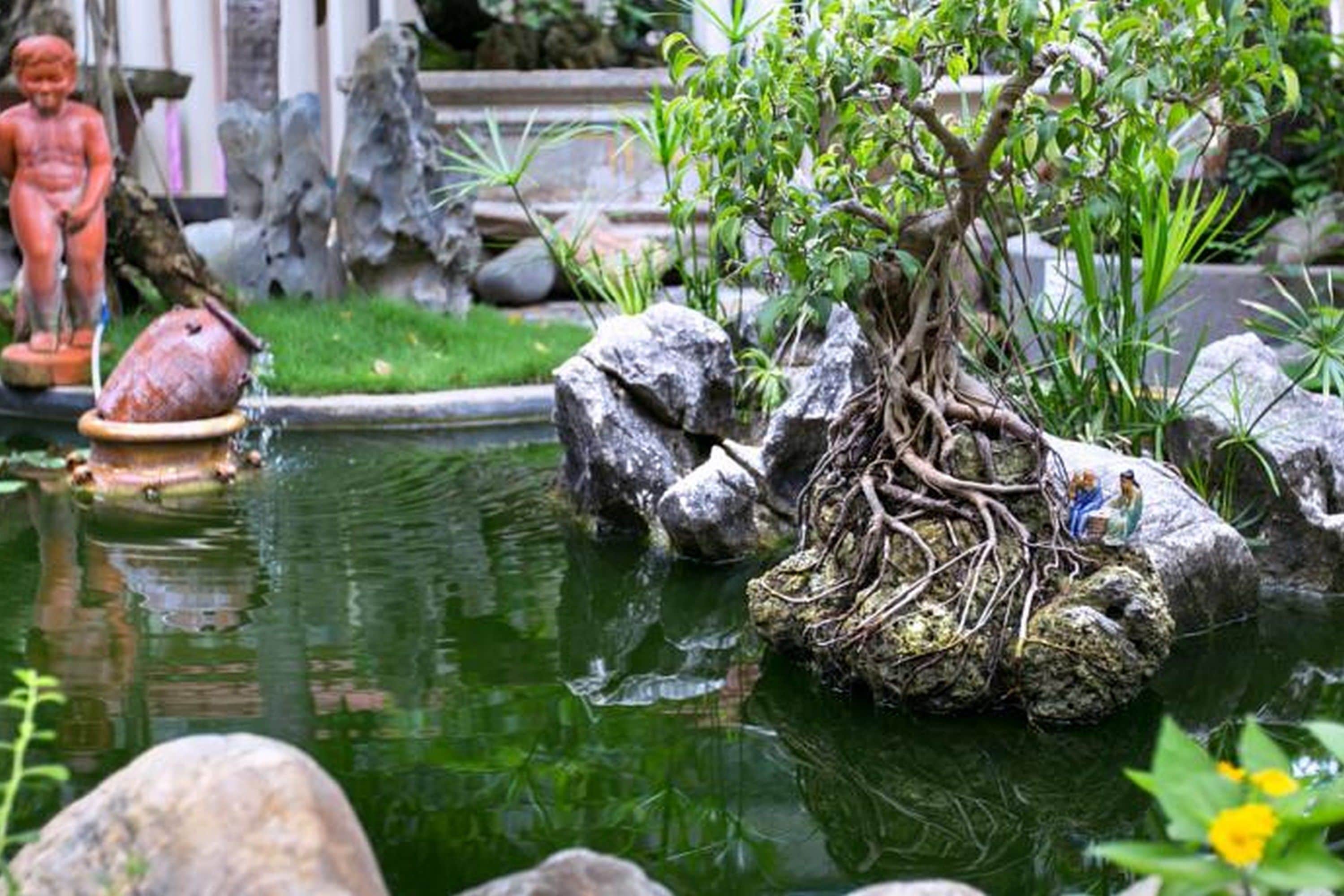 Foto - Bonsai Villa Hoi An
