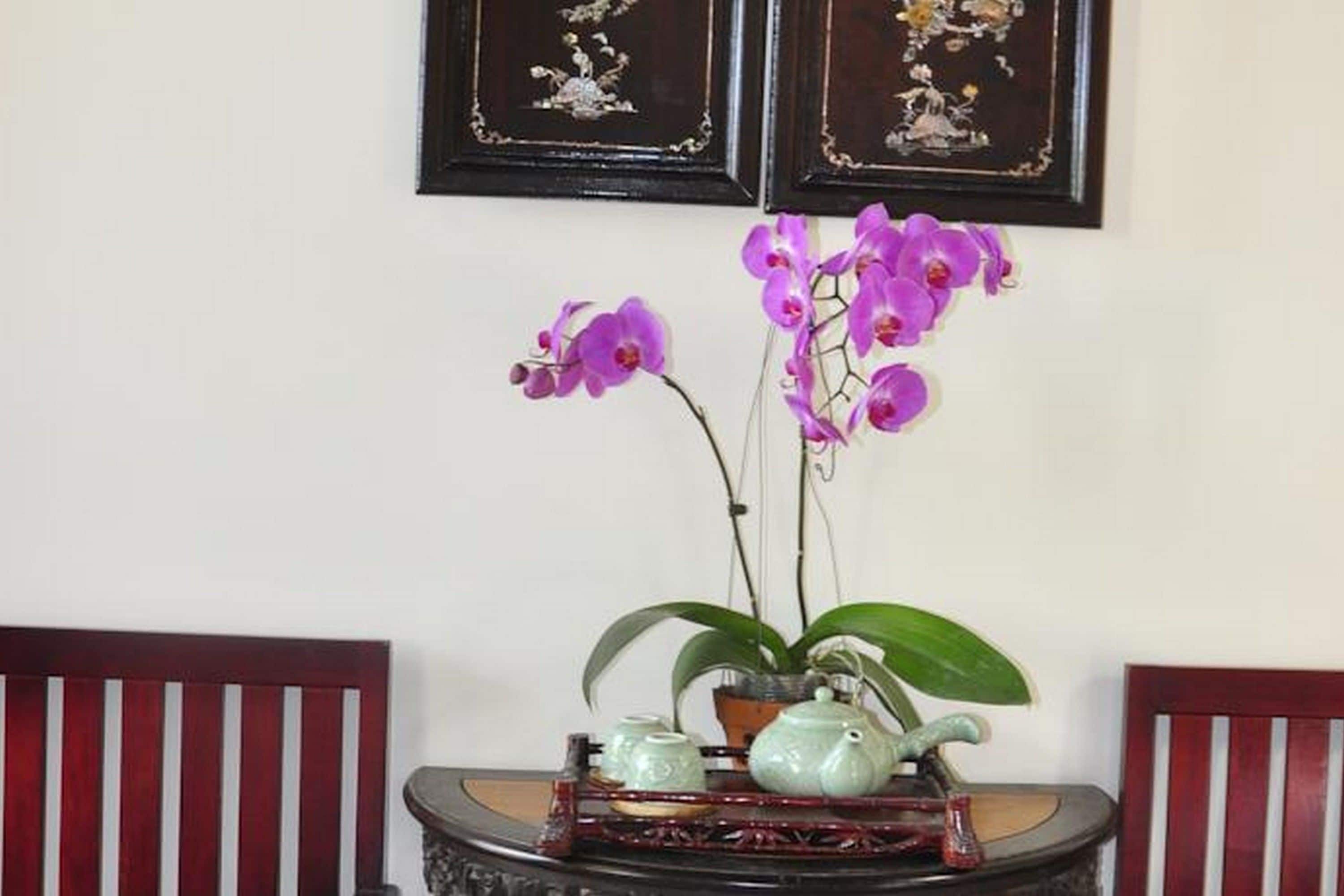 Superior Room, 1 Queen Bed, Garden View | Lobby sitting area