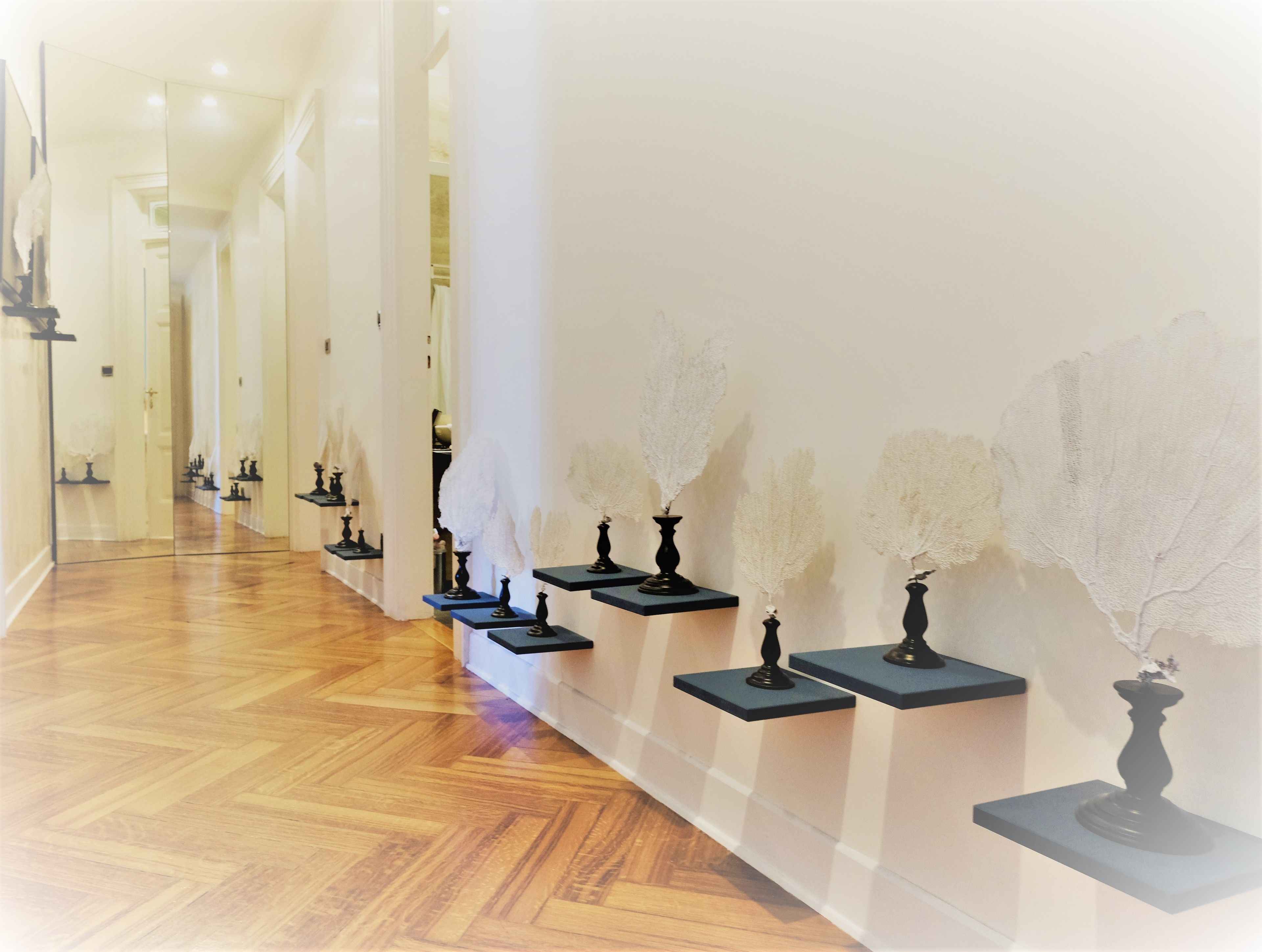 A hallway with a polished wooden floor and a series of black pedestals displaying white decorative items on a white wall.