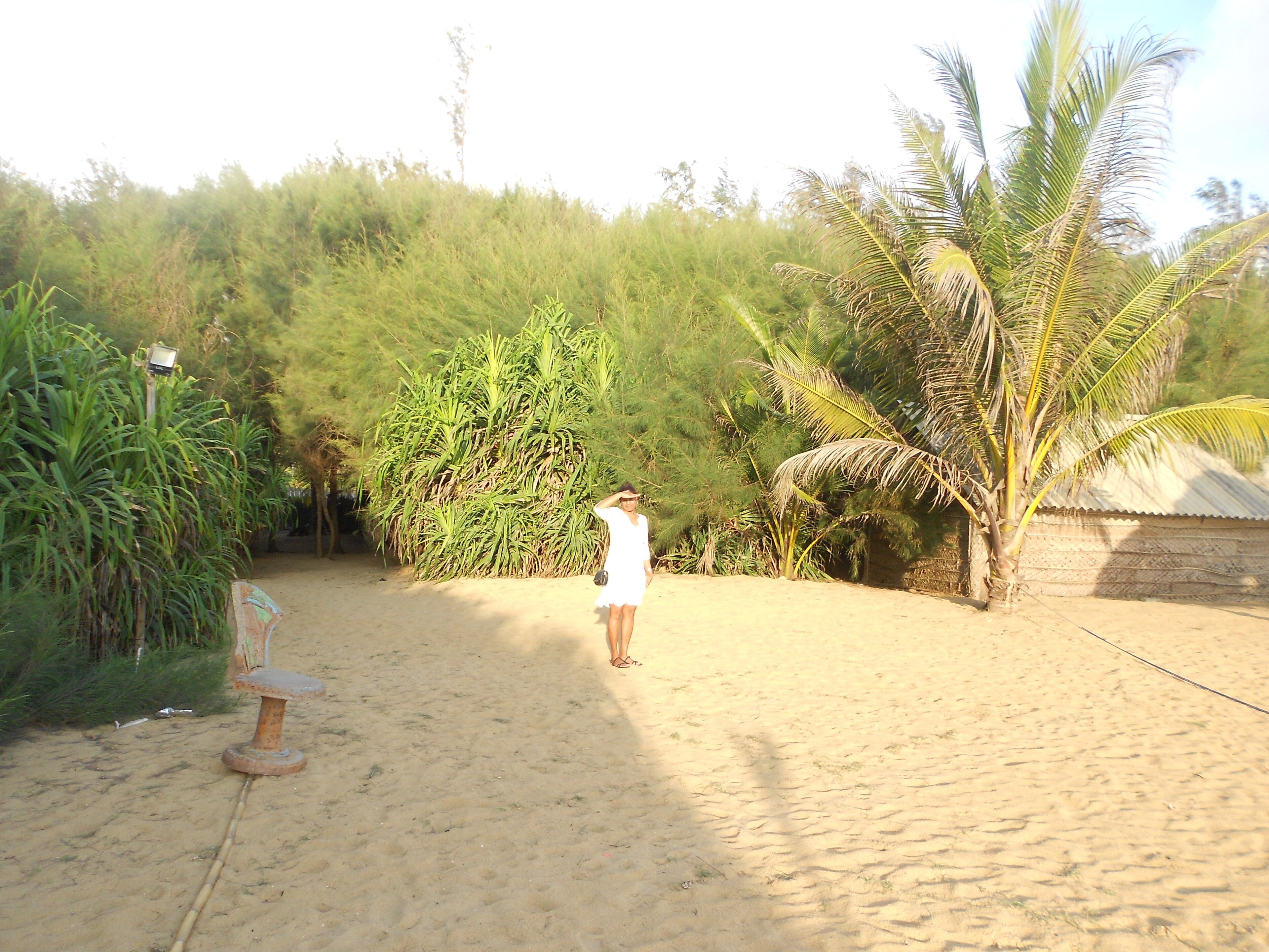 Photo - Shanith Guesthouse