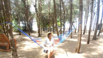 Relax in a serene forest setting, surrounded by nature and a hammock.