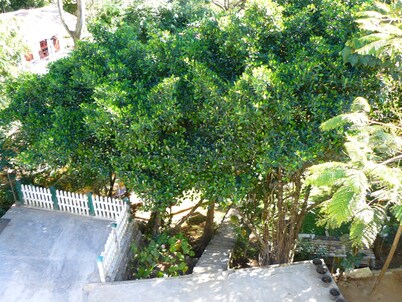 White House Adam's Peak