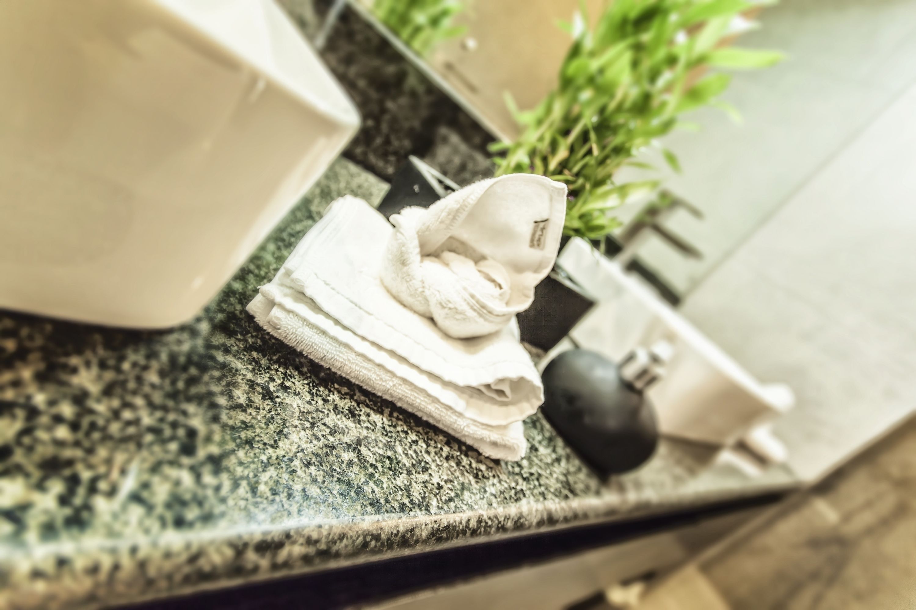 Ein Badezimmer-Waschtisch mit Handtuchspender, Seifenspender und einer Topfpflanze.