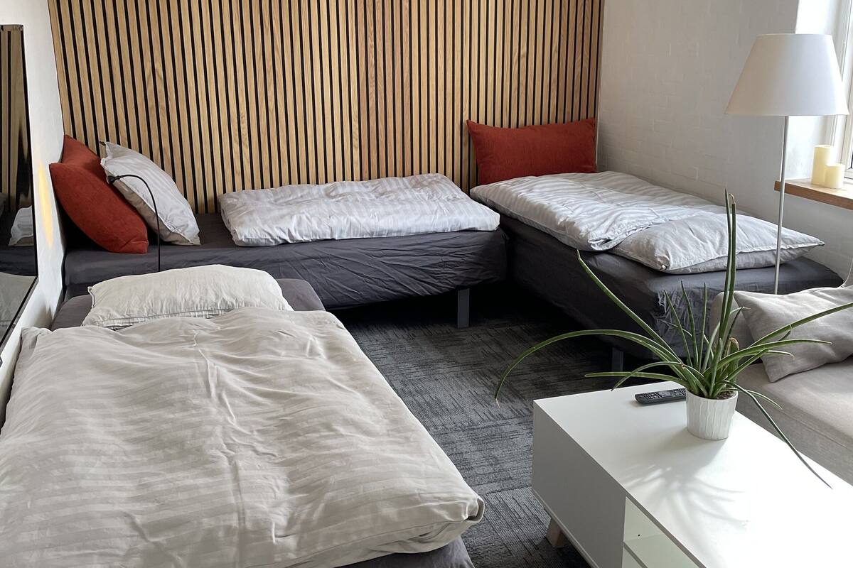 A modern hotel room with two beds, a desk, and a potted plant.