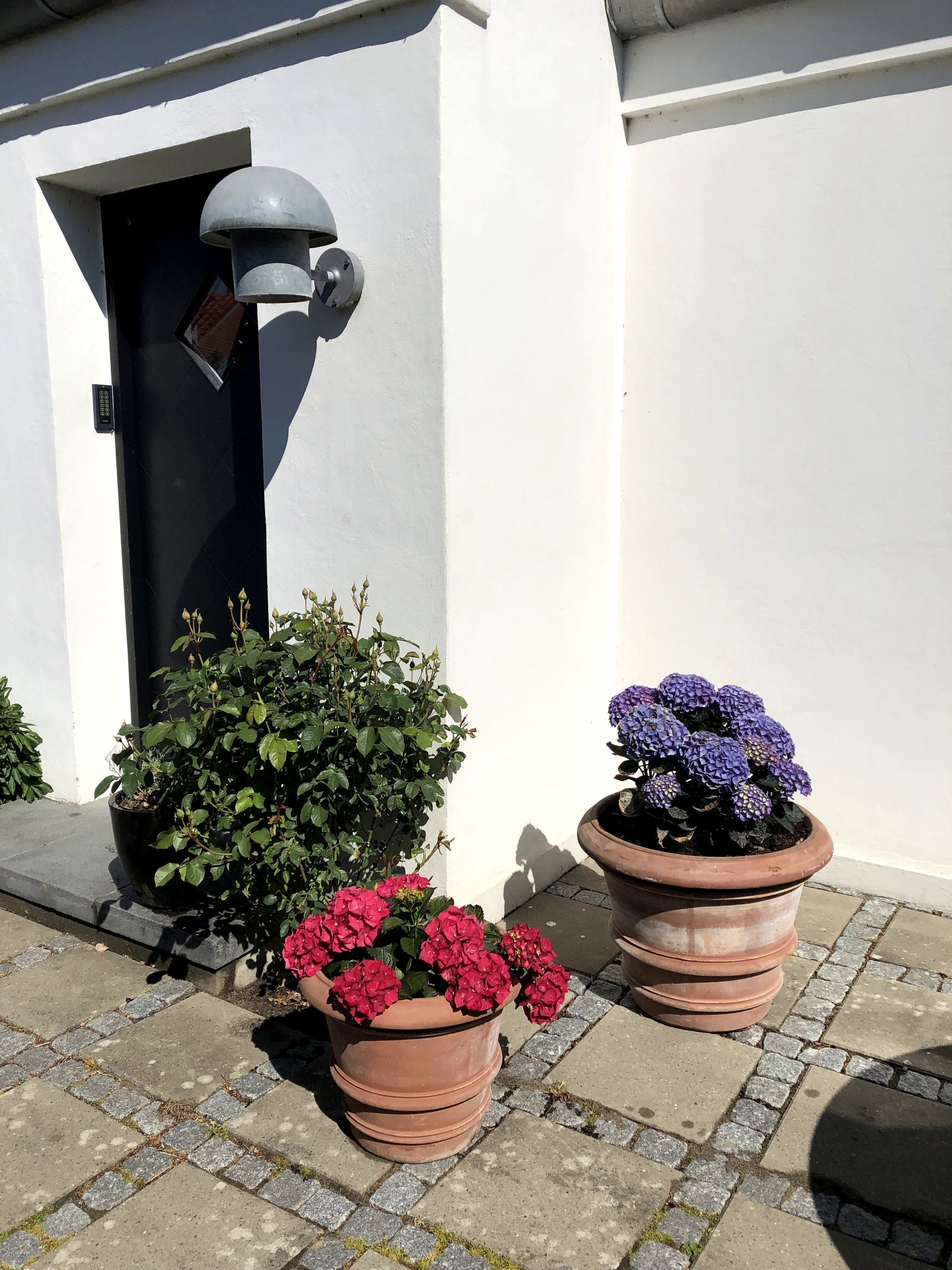 Un edificio blanco con una puerta negra, una cámara de seguridad y dos macetas con flores.