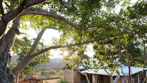 A rustic stone building with a thatched roof, surrounded by lush greenery and trees. - Tomjachu Bush Retreat (Mbombela)