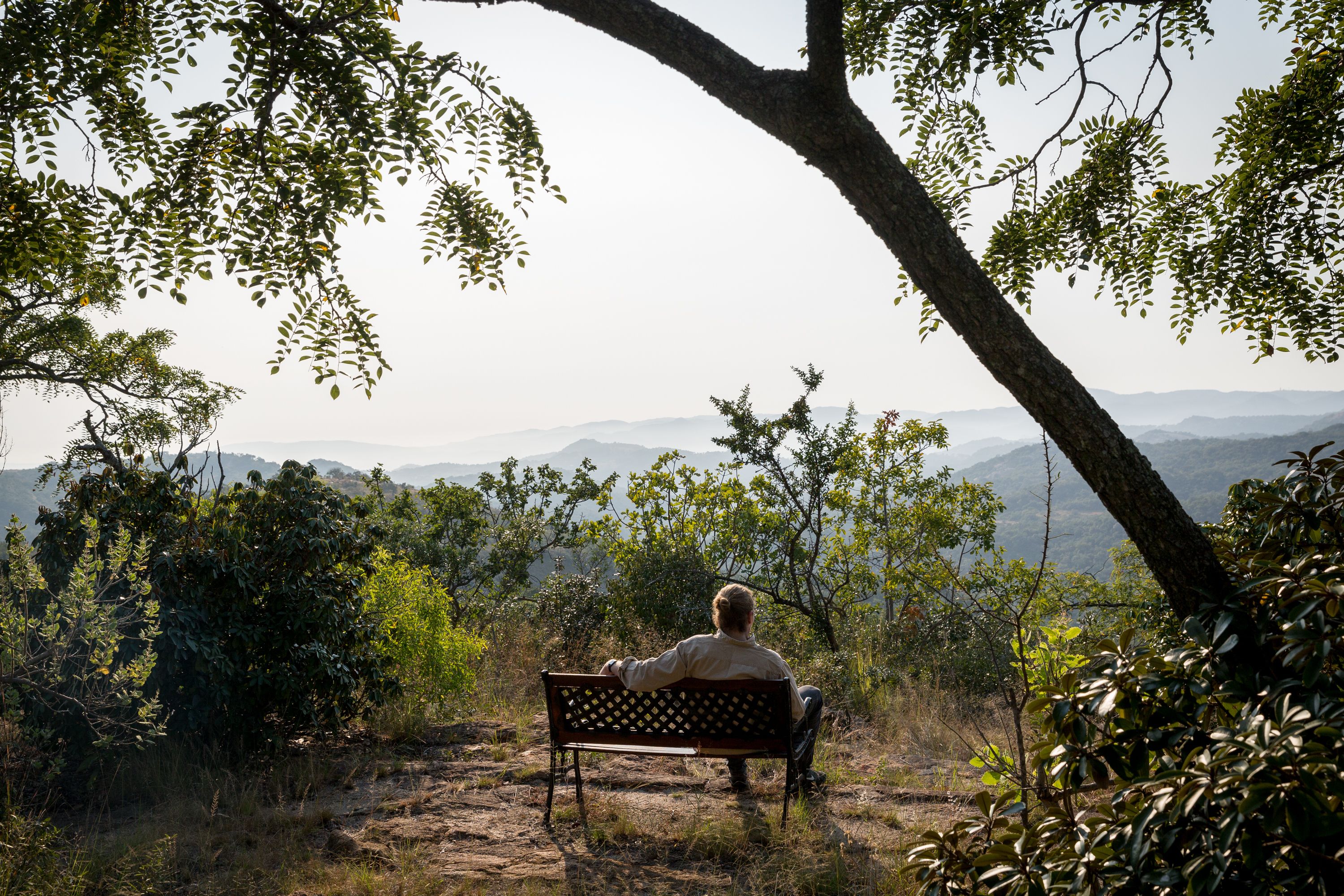 Casa de campo (Bush) | Vista desde la habitación