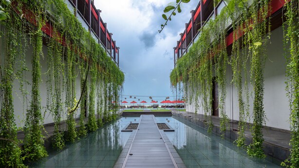 A corridor with a reflective floor, flanked by walls covered in green vines, leading to a pool area with red umbrellas.