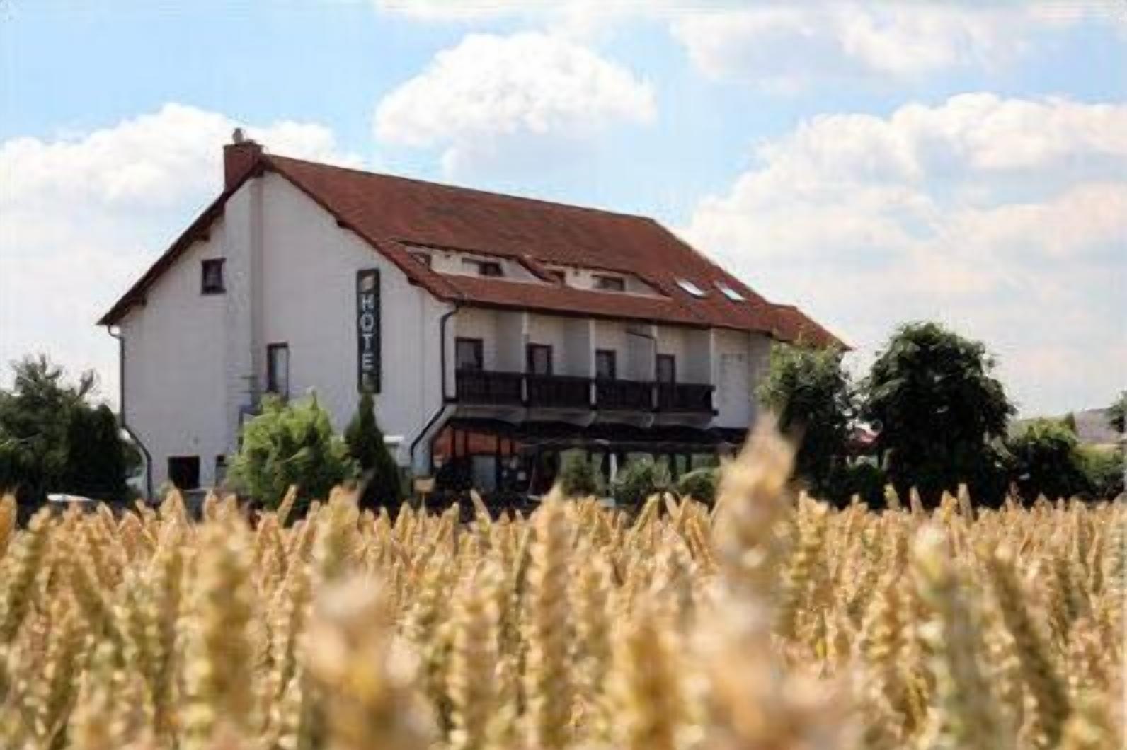 واجهة المنشأة