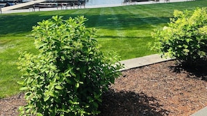 A marina with boats docked, a grassy area, and a clear blue sky. - The Brewster Inn (Cazenovia)