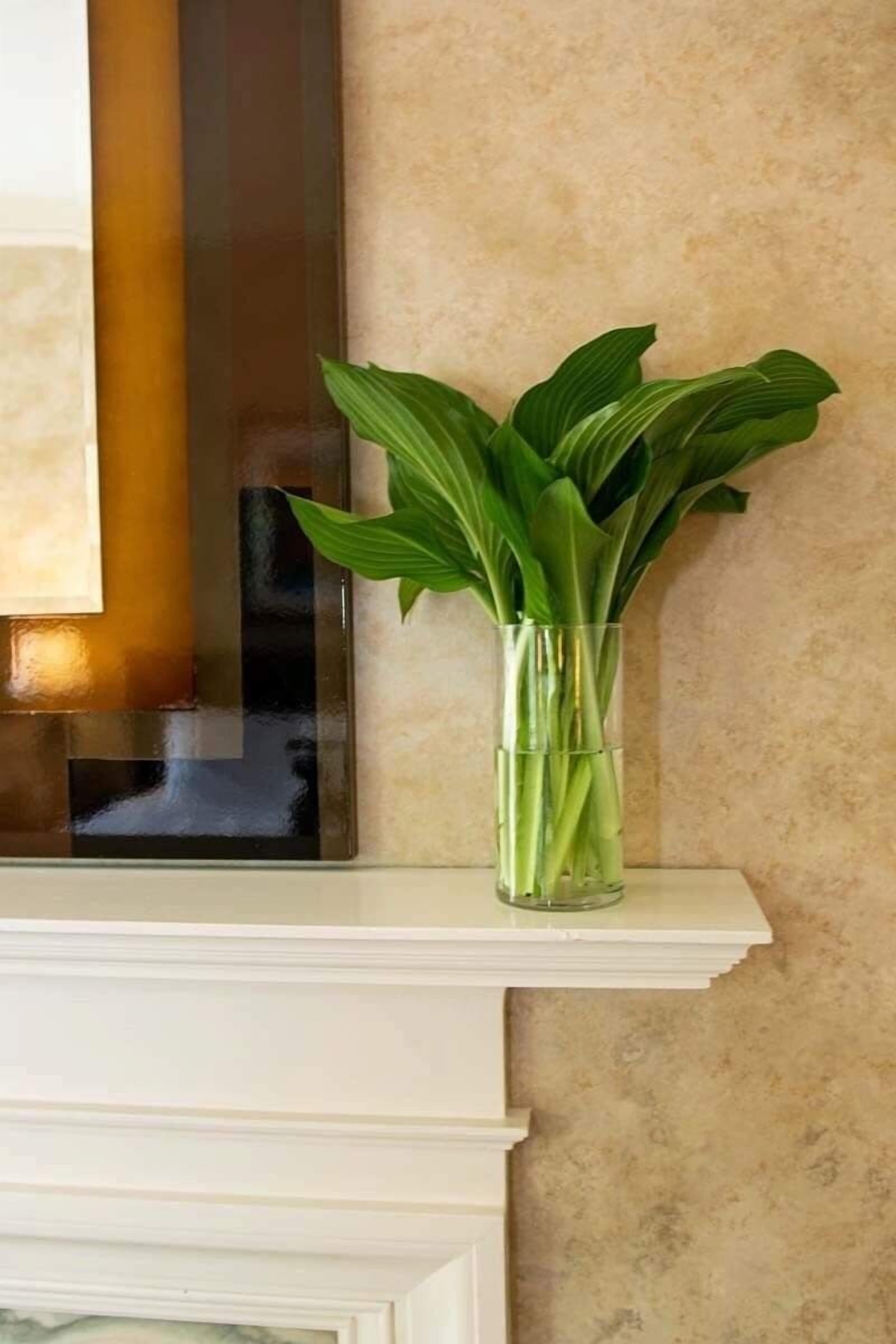 Un florero de vidrio transparente con hojas verdes sobre una repisa blanca frente a una pared con textura.