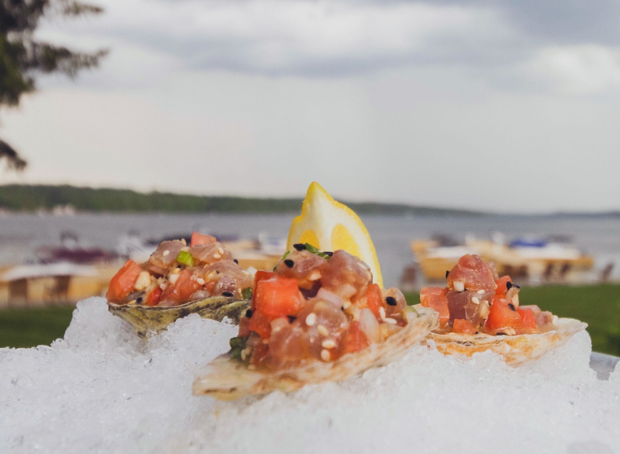 A seafood dish on ice with a lemon slice, set against a coastal backdrop.