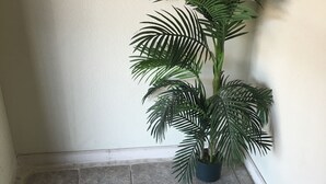 A corner of a room with a potted palm plant, tiled floor, and a bulletin board with notices. - Best Value Inn Motel Sandusky (Marianna)