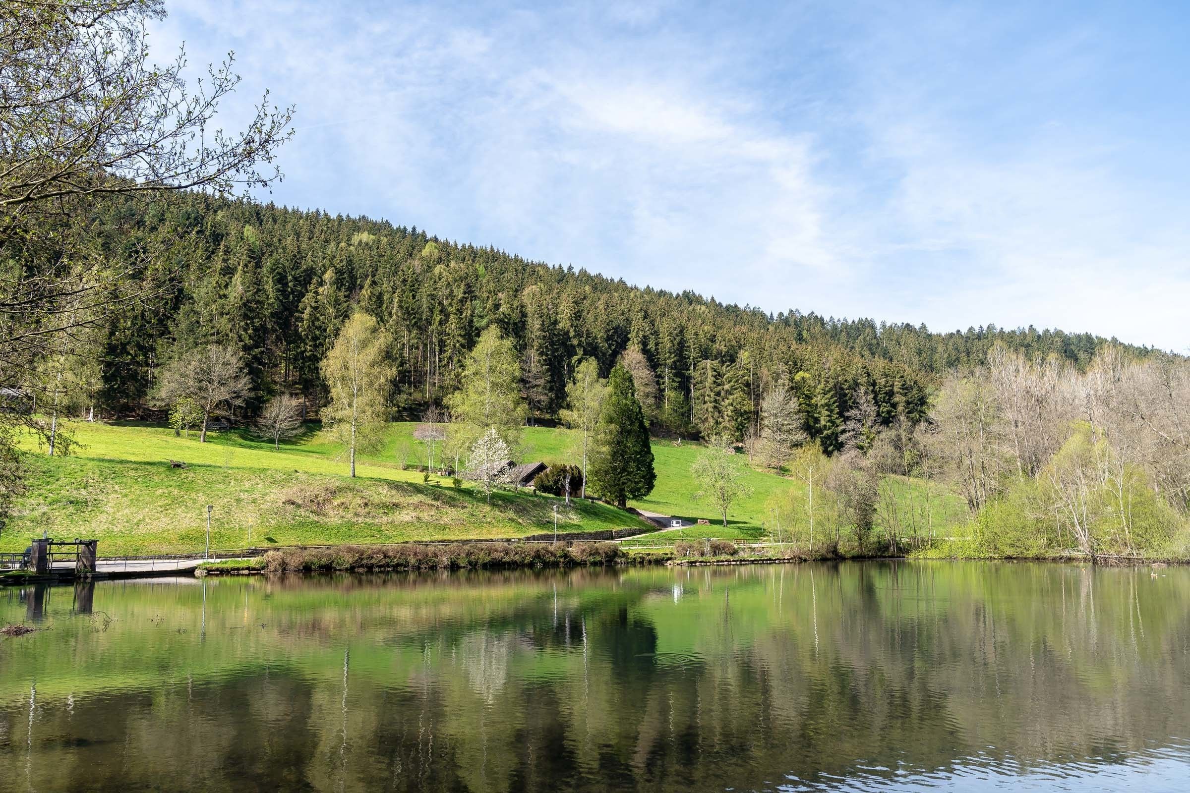 Une vue paisible sur un lac, avec une jetée en bois, une colline herbeuse et une forêt dense en arrière-plan.