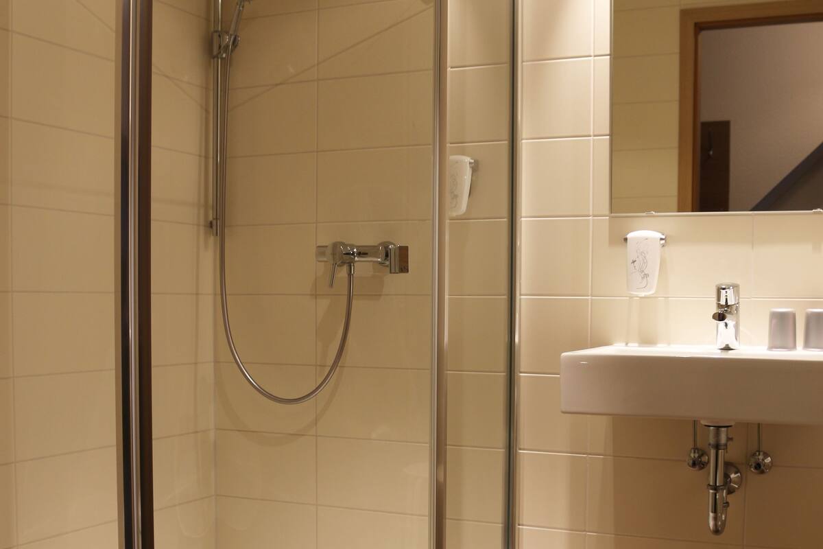 shower, free toiletries, hair dryer, towels