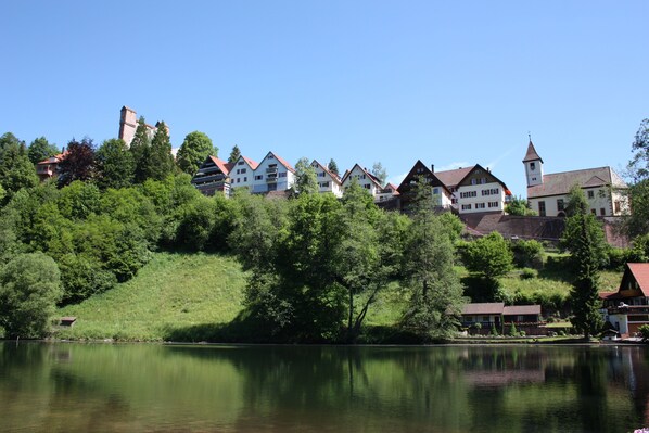 Vue sur les montagnes