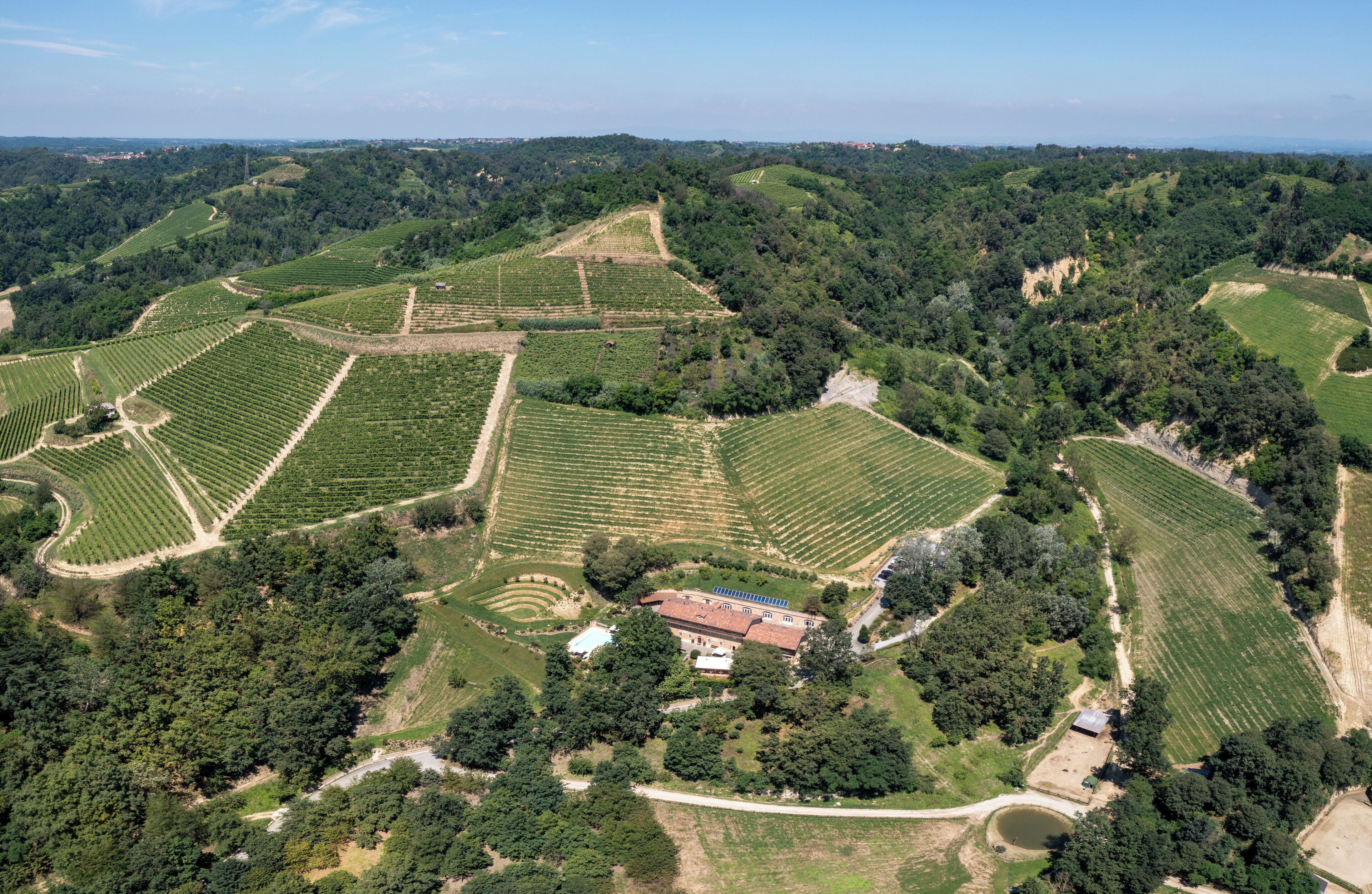 An aerial view of a vineyard with terraced fields and a central building surrounded by trees.