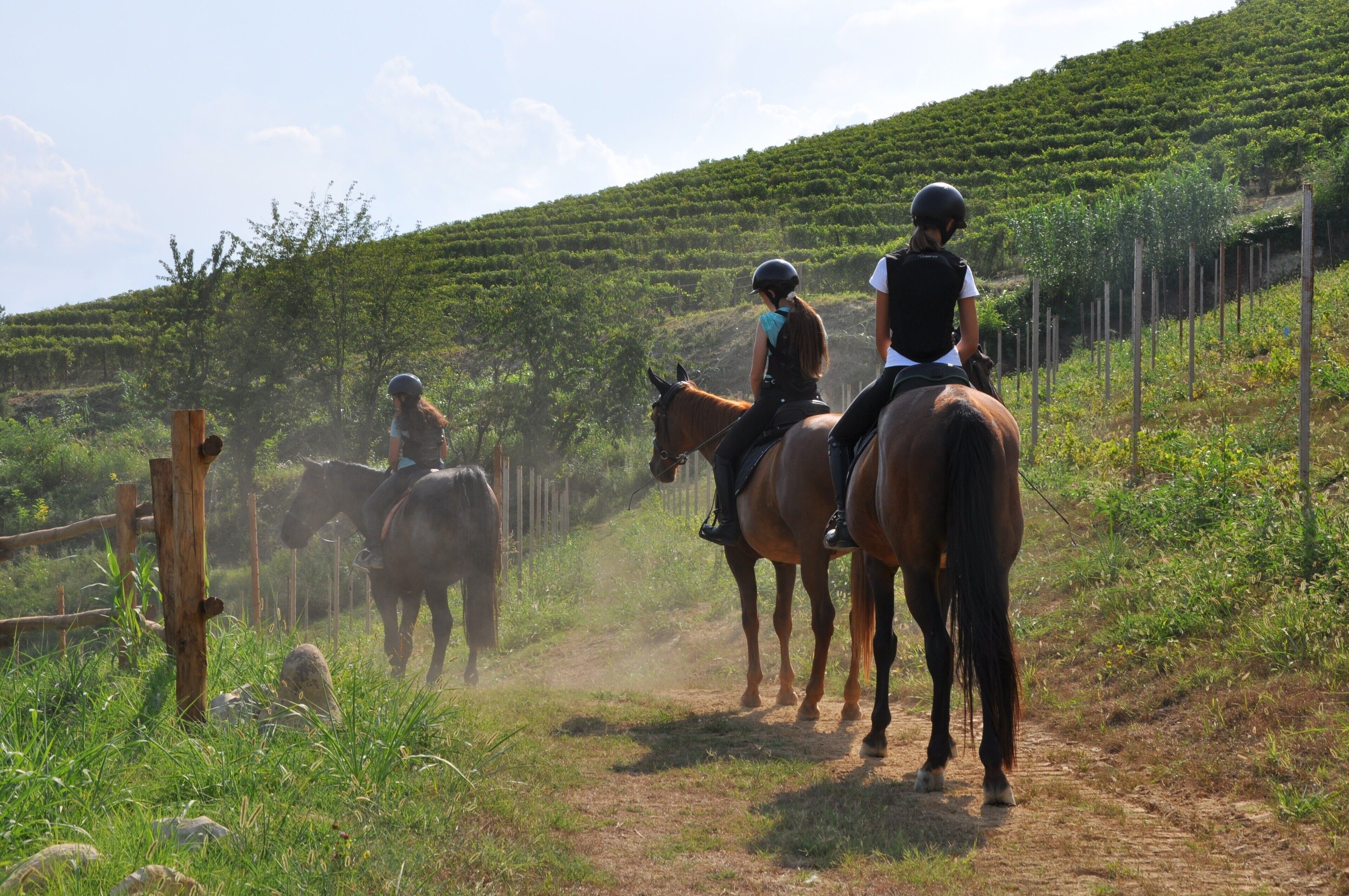 Un groupe de personnes à cheval, sur un chemin de terre bordé de verdure.