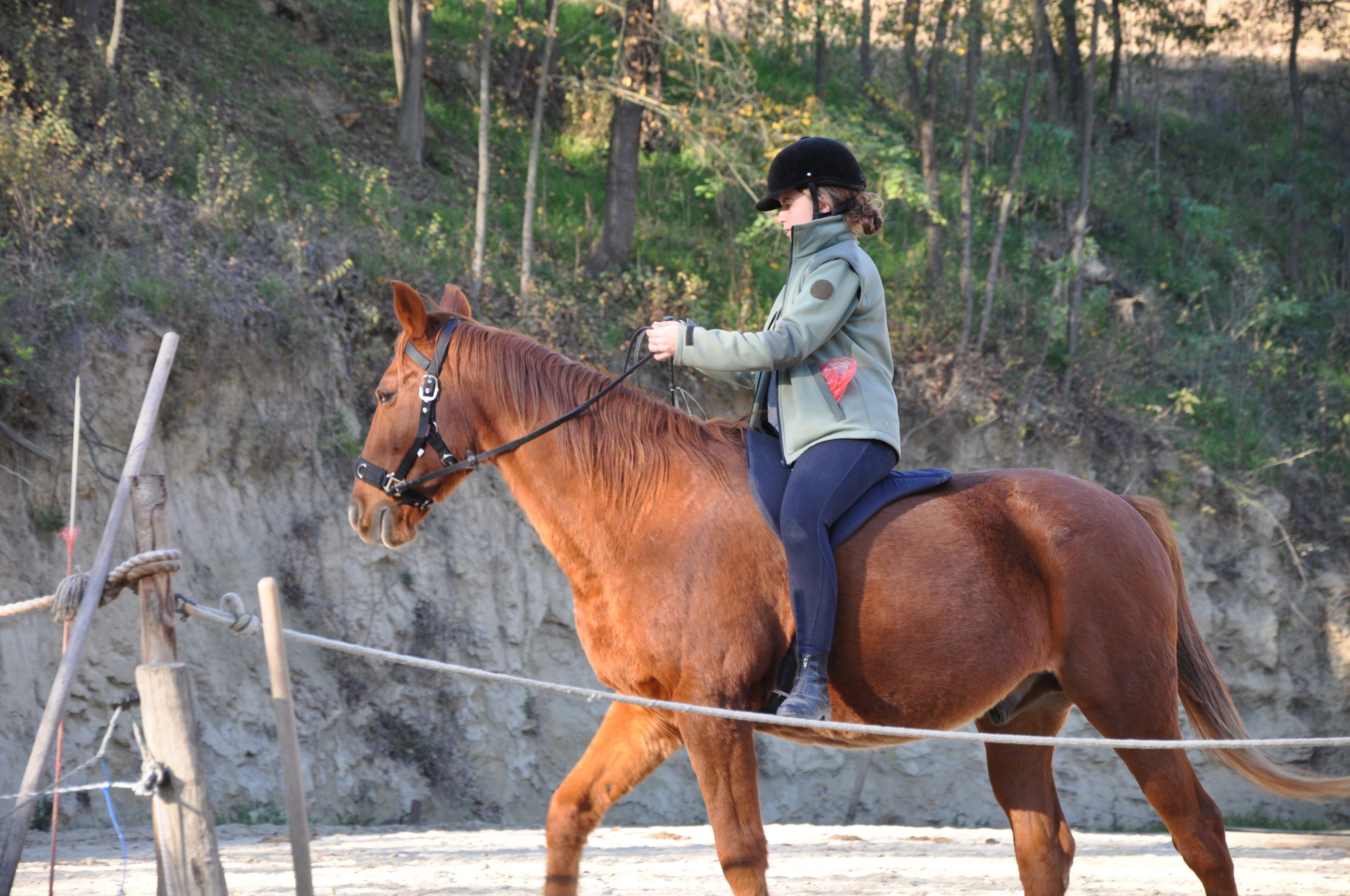 A person riding a horse in an outdoor setting with a natural backdrop.