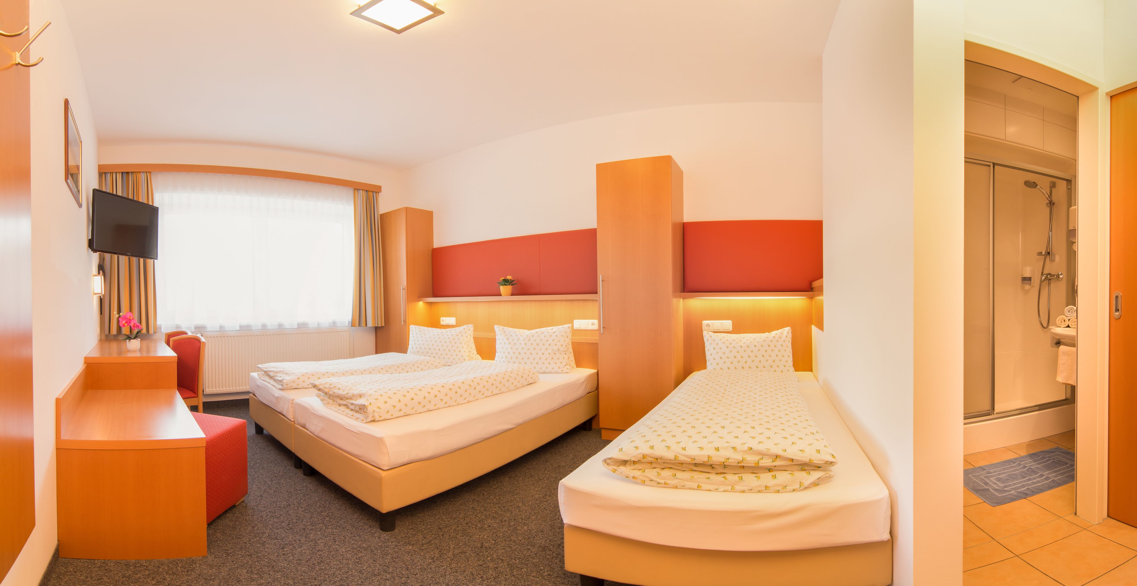 triple room | mountain view