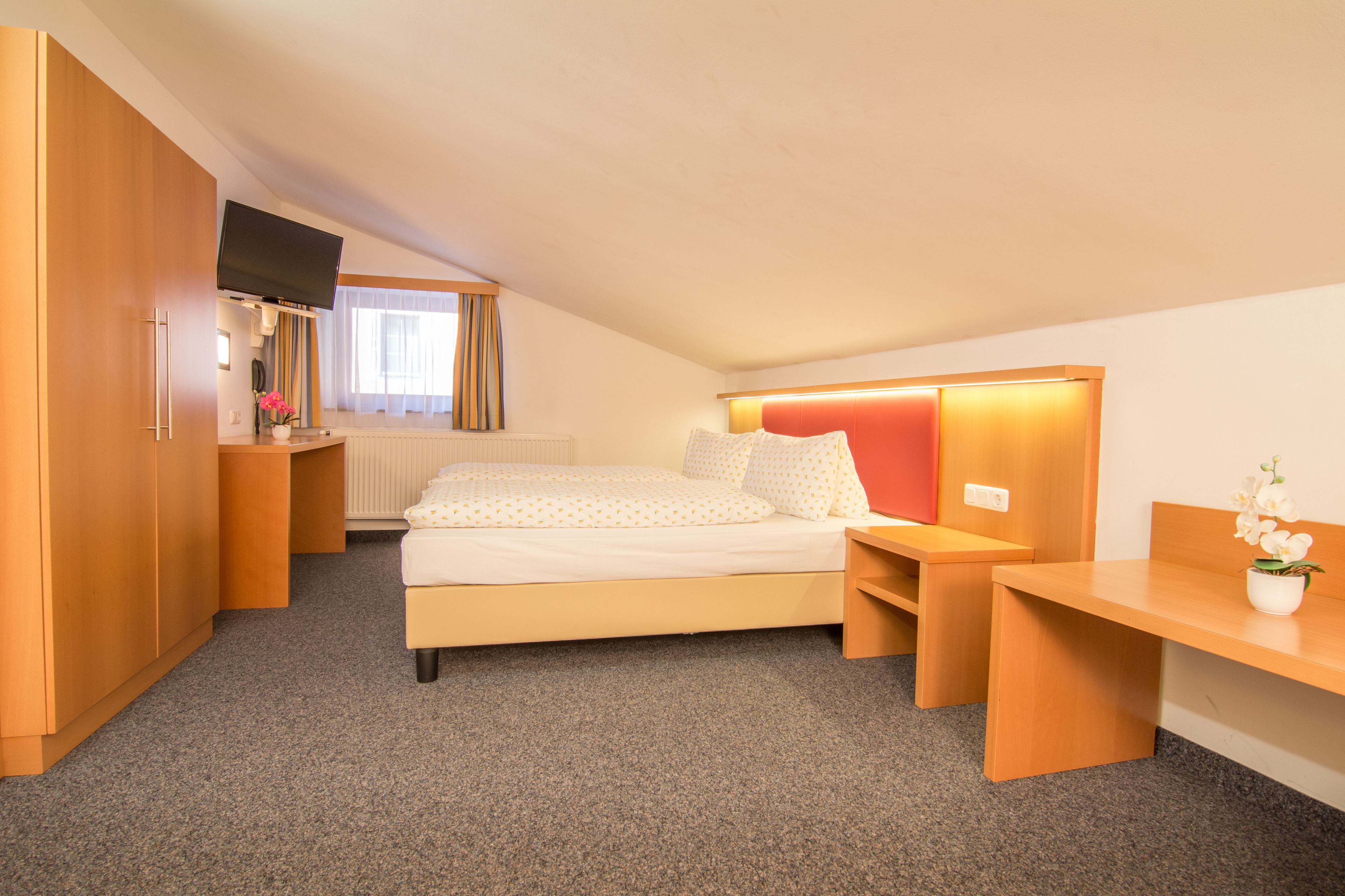 double room, 1 double bed, mountain view | mountain view