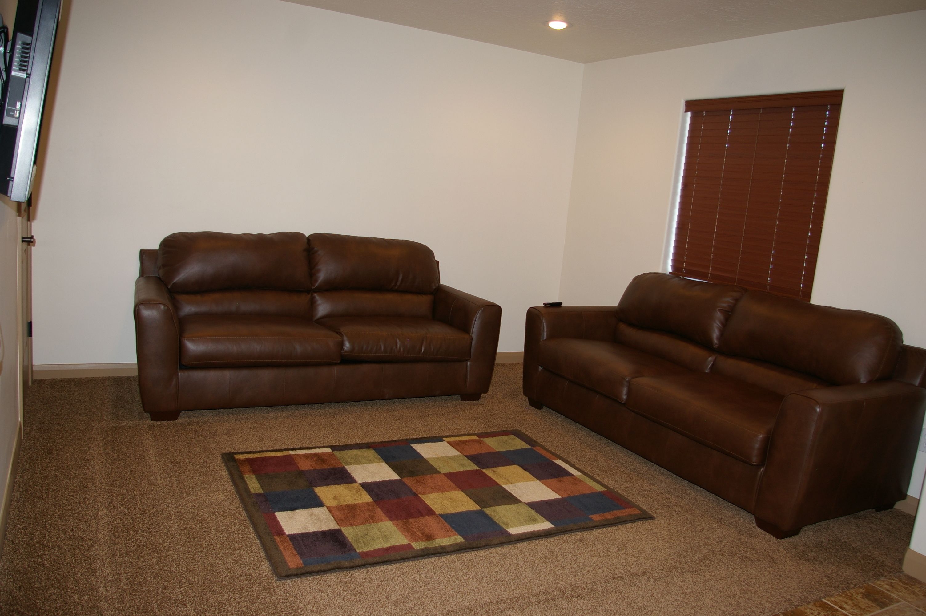 A living room with two brown leather sofas and a colorful checkered rug on a carpeted floor.