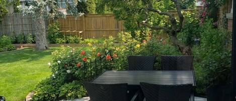 An outdoor patio with a table and chairs, a large umbrella, and a garden with various plants and flowers.