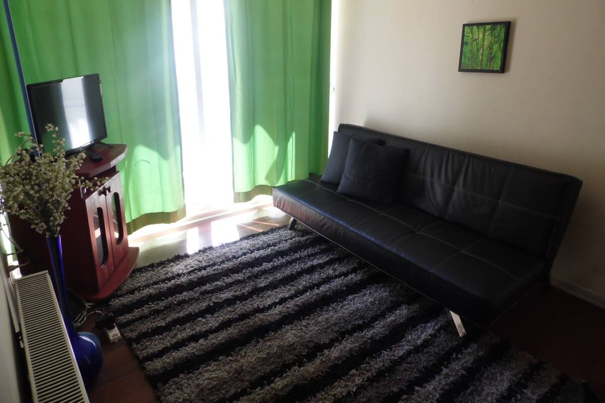 Un salón con un sofá negro, un televisor sobre un mueble bajo, un radiador, una cortina verde y un cuadro enmarcado en la pared.