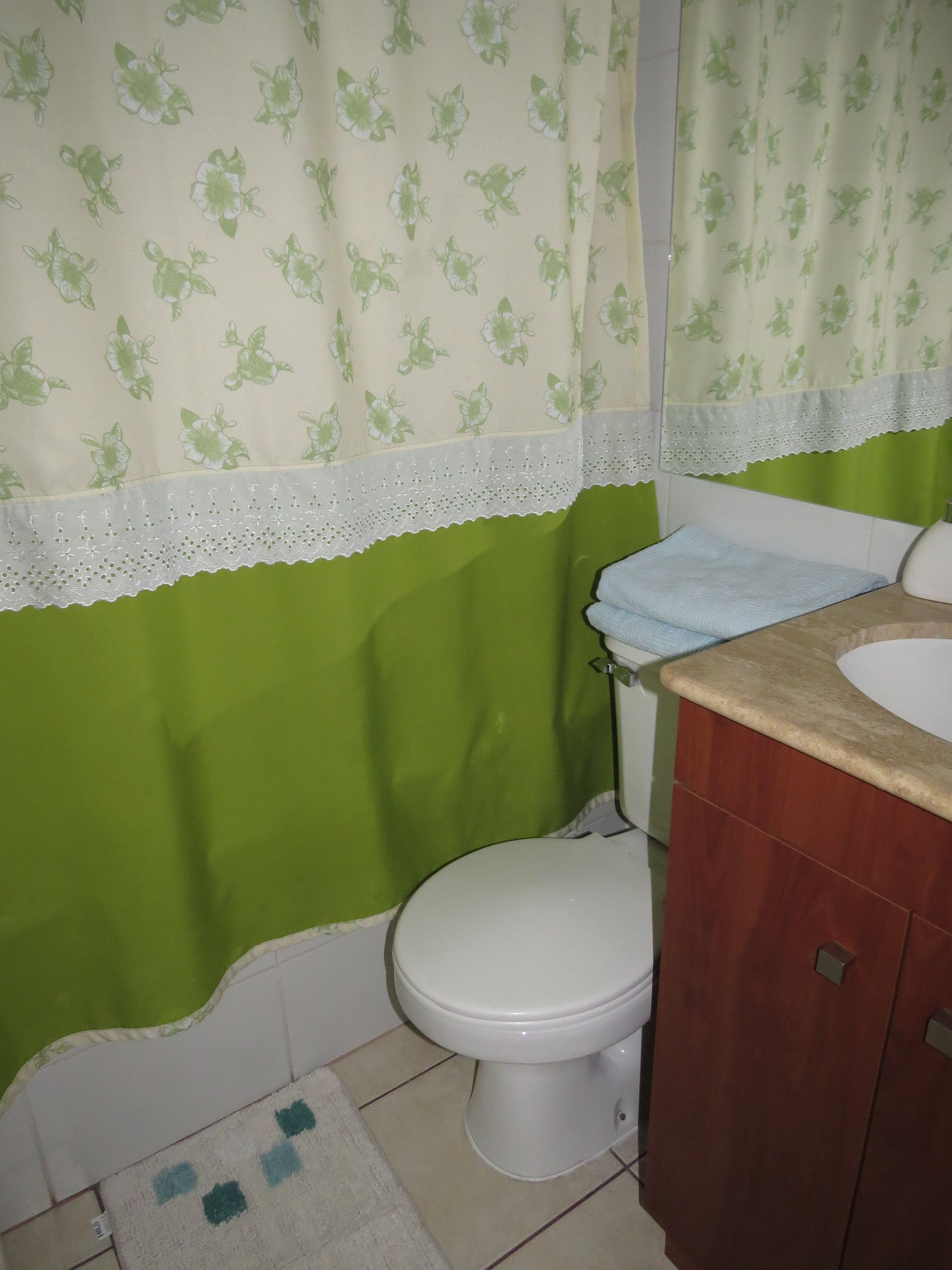 Une salle de bain avec un mur vert, des toilettes blanches et un meuble-lavabo en bois avec un évier.