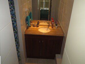 A bathroom with a wooden vanity, two sinks, a mirror, and a small potted plant. - Alojamientos Santiago Chile (Santiago)