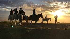 Reiten