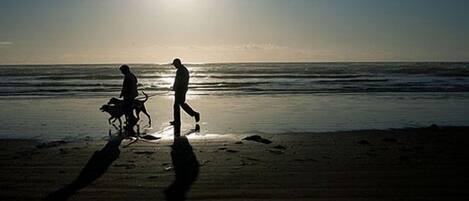 A beach scene with two people and a dog walking along the shore.